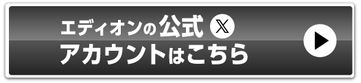 公式X