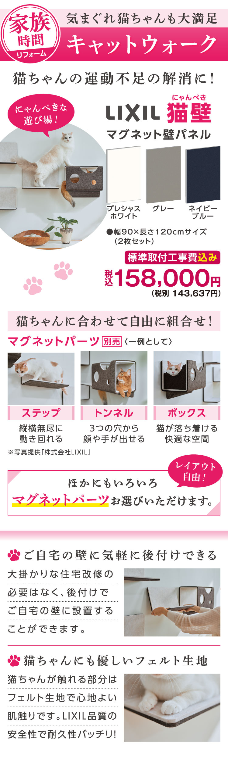 猫壁