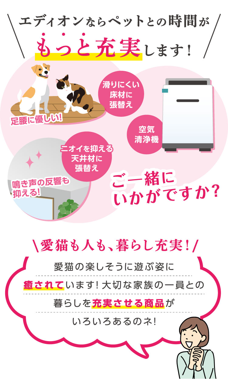 猫壁