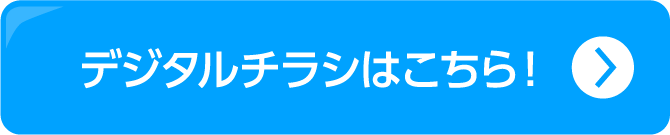 FMVチラシ