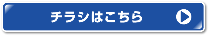 エディオンチラシ
