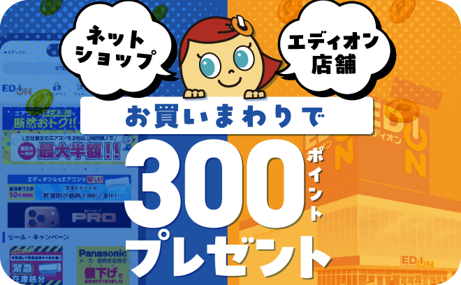 税込み2,000円以上のご購入で300ポイントプレゼント！