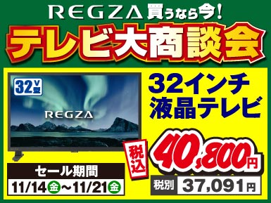 REGZAチラシ
